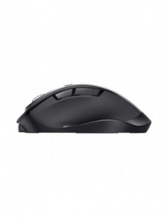 Raton Inalambrico Fyda...