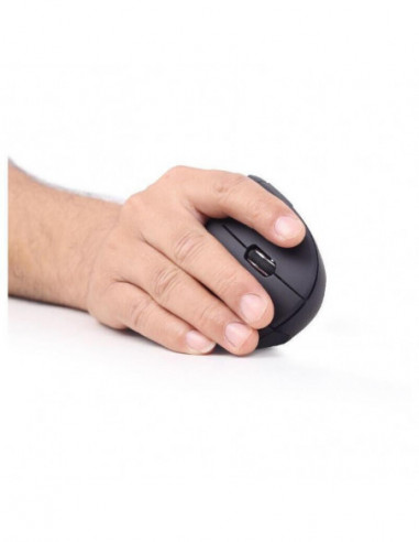 Raton Ergonomico Gembird Inalambrico...