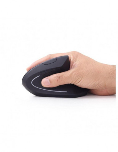 Raton Ergonomico Gembird Inalambrico...