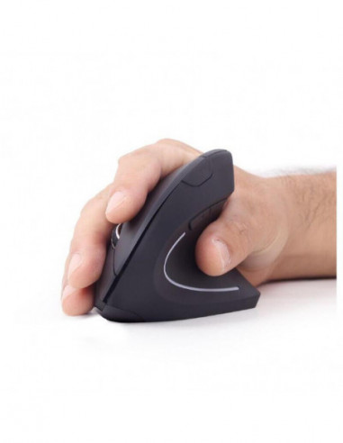 Raton Ergonomico Gembird Inalambrico...