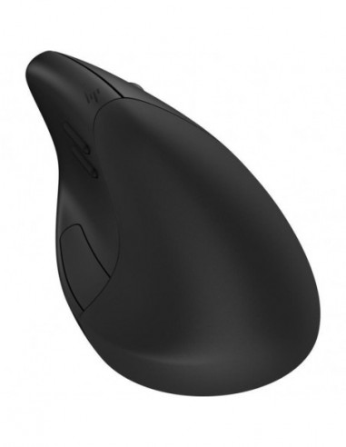 HP Ratón inalámbrico ergonómico 920