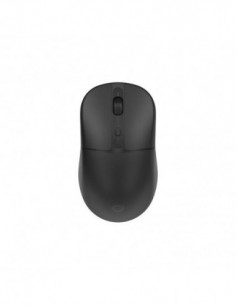 Rato Conceptronic...