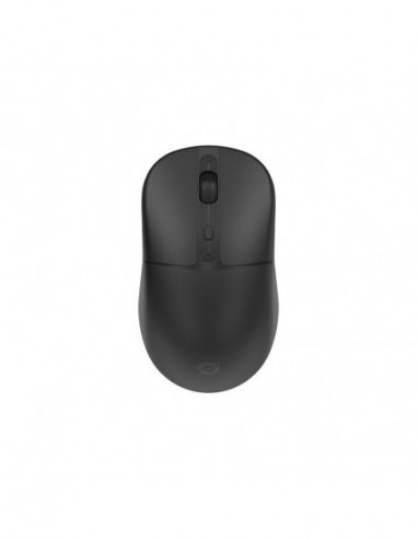 Rato Conceptronic Lorcan04 Sem Fios e...