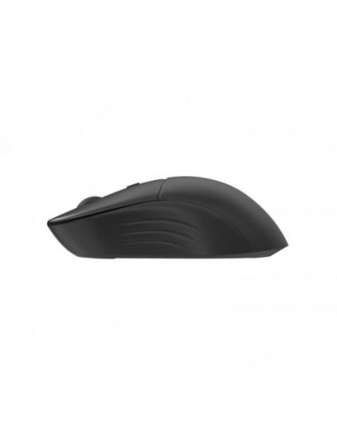 Rato Conceptronic Lorcan04B: Rato...