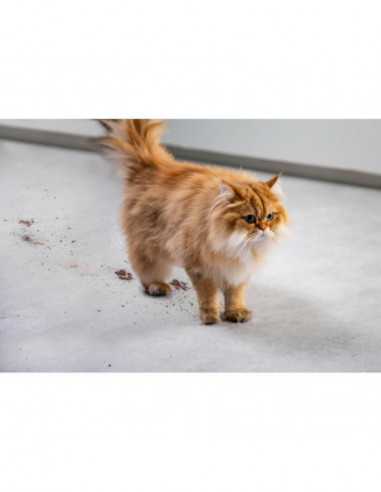 Rowenta - Aspirador Multifunções Wet... Rowenta - Aspirador Multifunções Wet...