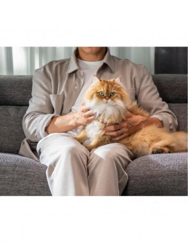 Rowenta - Aspirador Multifunções Wet... Rowenta - Aspirador Multifunções Wet...