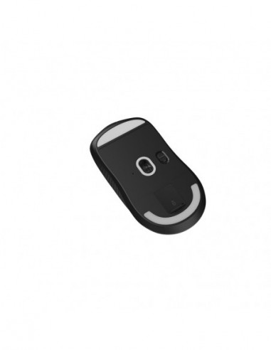 RATON MSI VERSA 300 WIRELESS