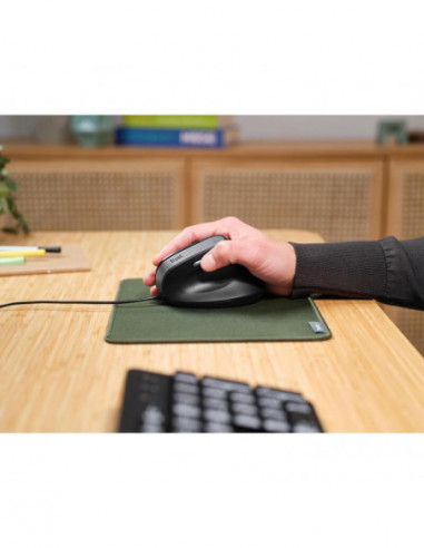 Rato TRUST Bayo II Ergonómico, 2400...