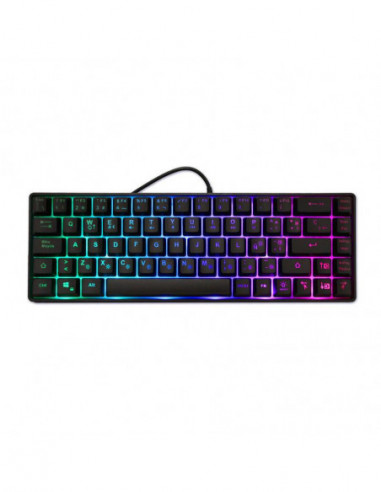 Teclado Español Deepgaming Mini Tm065...