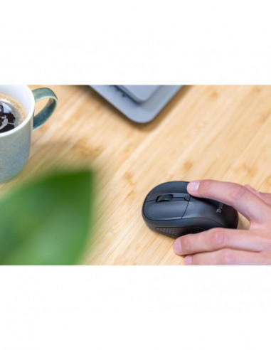 Rato Sem Fio Trust Primo - 1600 DPI,...