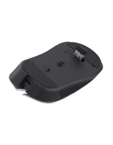 Rato sem fios Gaming TRUST GXT 923W...