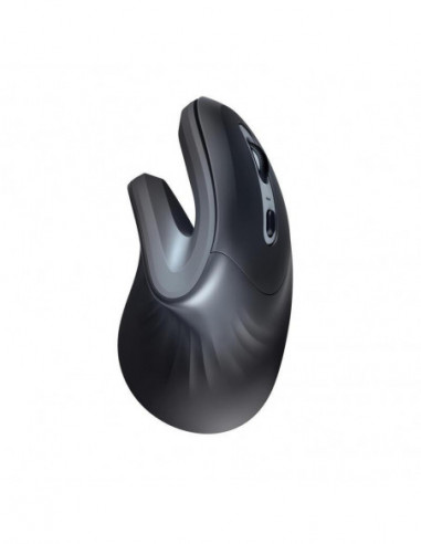 Rato Sem Fios Trust Verro Ergonómico...