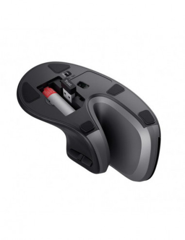 Rato Sem Fios Trust Verro Ergonómico...
