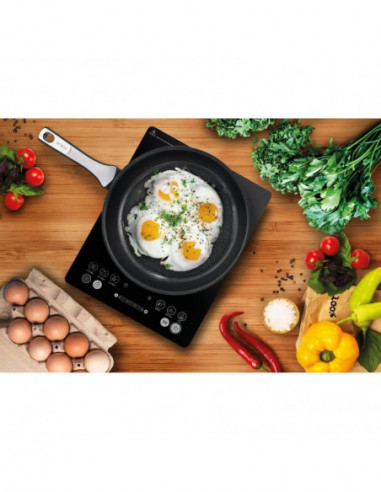 Tefal - Placa de Indução Ih2108e1