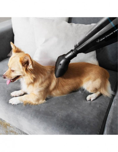 Cecotec - Aspirador de Mão Conga...