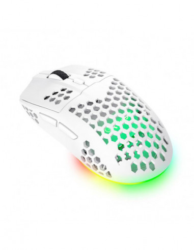 Rato Gaming TRUST GXT 929 Helox,...