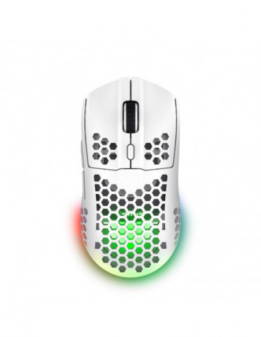 Rato Gaming TRUST GXT 929 Helox,...