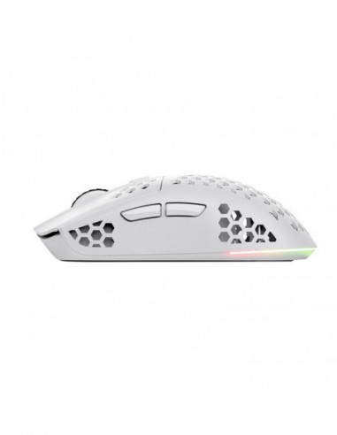 Rato Gaming TRUST GXT 929 Helox,...