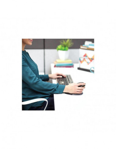 Rato Fellowes Penguin, Vertical, Sem... Rato Fellowes Penguin, Vertical, Sem...