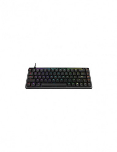 Teclado ASUS ROG Falchion Ace HFX:...