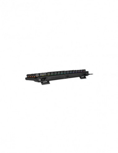 Teclado ASUS ROG Falchion Ace HFX:...