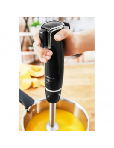 Moulinex - Varinha Dd944810