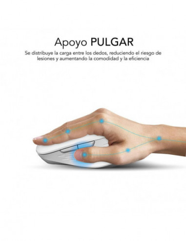 Rato Subblim Curve Ergo Dual Wireless