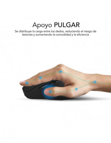 Rato SUBBLIM Curve Ergo Dual:...