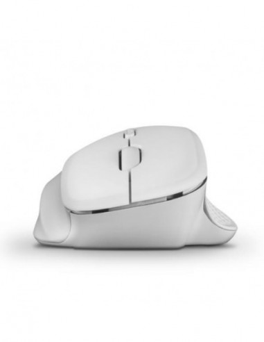 Raton Ergo White Wireless