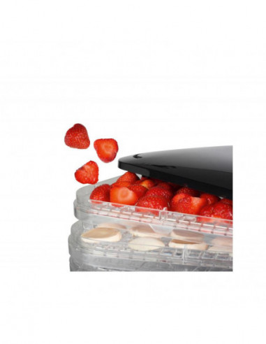 Princess - Desidratador Alimentos...