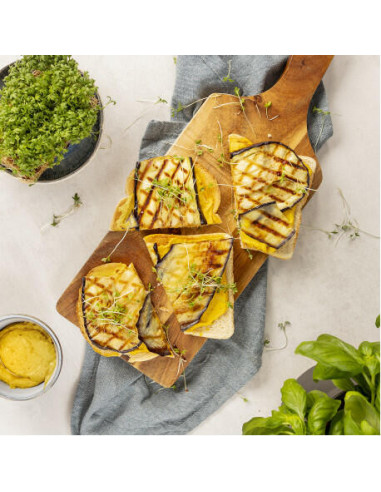 Princess - Torradeira 01.142401.01.001