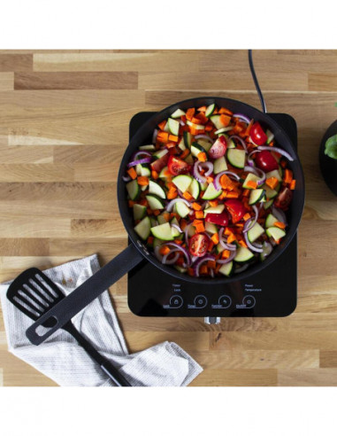 Placa de Indução Princess 303010:...