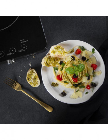 Placa de Indução Princess 303010:...