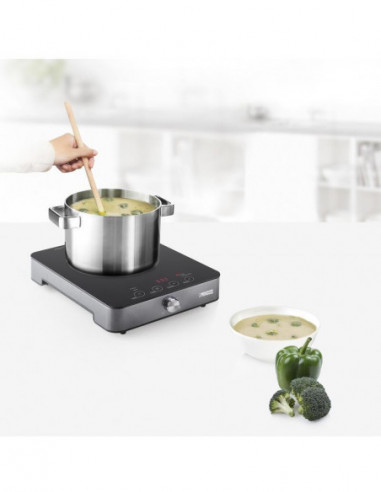 Placa de Indução Princess 303010:...