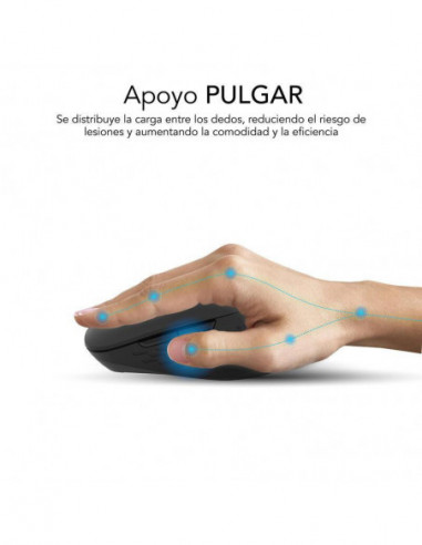 Rato Subblim Curve Ergo Dual:...