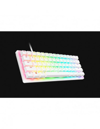 Teclado Ingles Razer Huntsman V3 Pro...