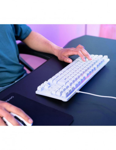 Teclado Gaming Trust Gaming Gxt 833w...