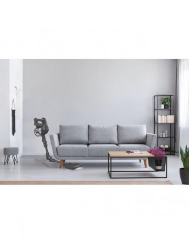 Hoover - Aspirador Vertical Hf103x 011