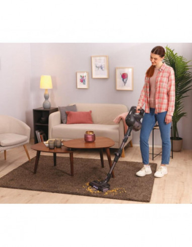 Hoover - Aspirador Vertical Hf103x 011