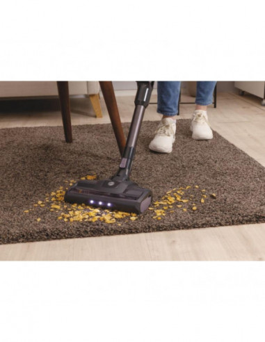 Hoover - Aspirador Vertical Hf103x 011