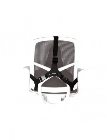 Encosto Ergonómico Fellowes...