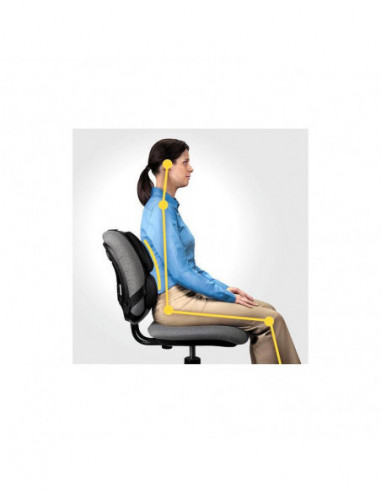 Encosto Ergonómico Fellowes...