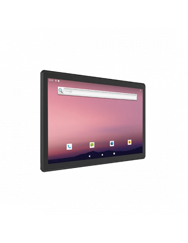 Panel PC Industrial 18.5p INSYS...