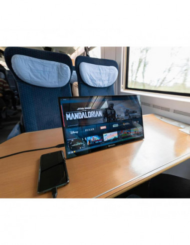 Monitor Portátil Verbatim PMT-17:...