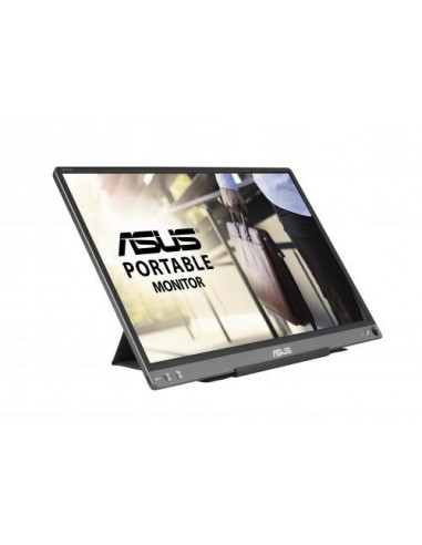 ASUS ZenScreen MB16ACE LED display...
