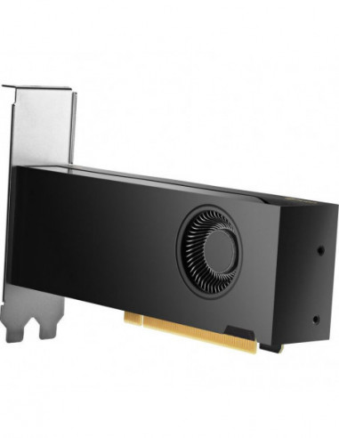 Placa Gráfica HP NVIDIA RTX 2000 Ada...