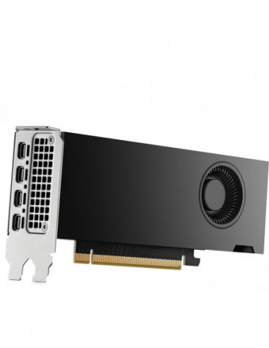 Placa Gráfica HP NVIDIA RTX 2000 Ada...