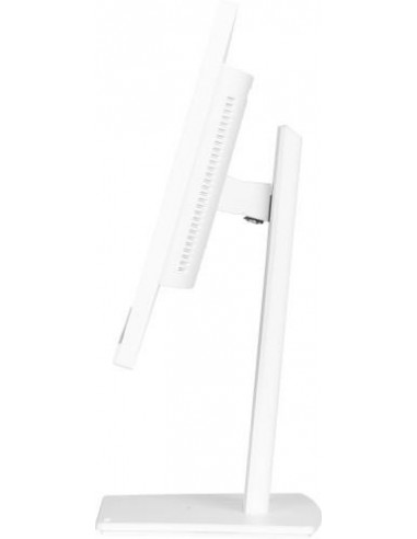 24" WHITE IPS-1920x1080 USB-C Dock