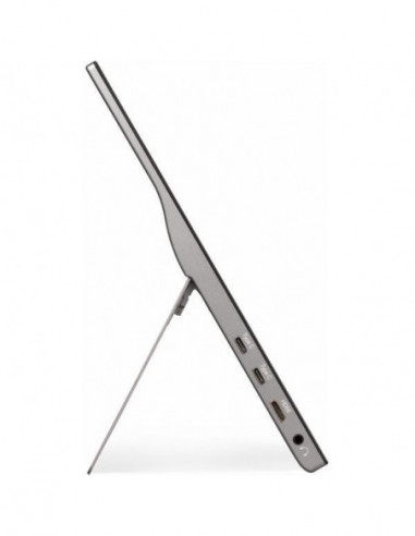 Monitor Portátil ViewSonic TD1655:...