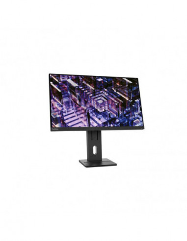 Monitor  Lenovo Thinkvision E24q-30...